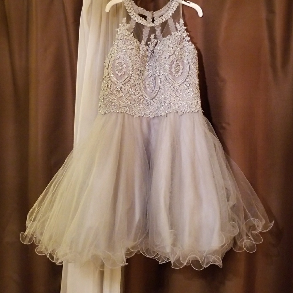 ✨ Gray Cinderella Prom Party Dress ✨ - Picture 2 of 8